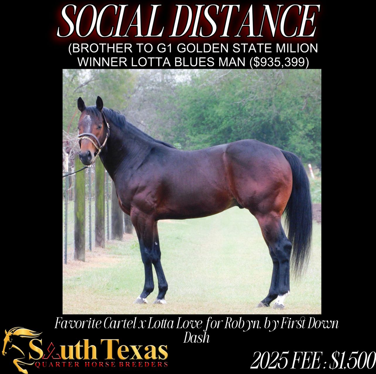 SOCIAL DISTANCE (FAVORITE CARTEL - LOTTA LOVE FOR ROBYN, by FIRST DOWN DASH