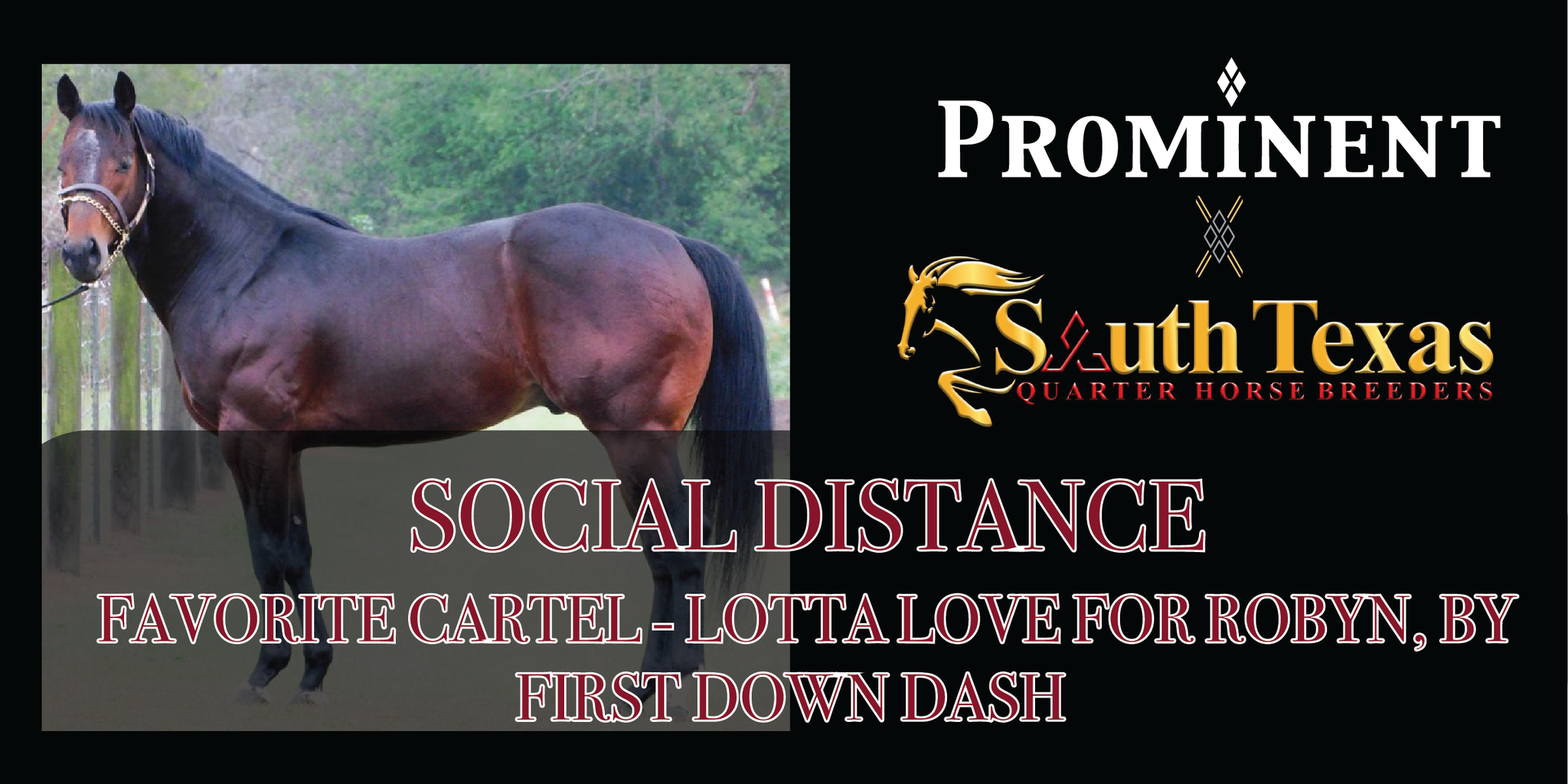 SOCIAL DISTANCE (FAVORITE CARTEL - LOTTA LOVE FOR ROBYN, by FIRST DOWN DASH