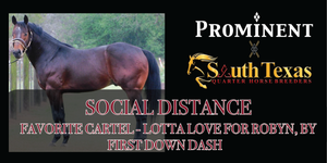 SOCIAL DISTANCE (FAVORITE CARTEL - LOTTA LOVE FOR ROBYN, by FIRST DOWN DASH